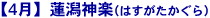 4月 蓮潟神楽